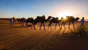 Maroc circuits, voyage au maroc