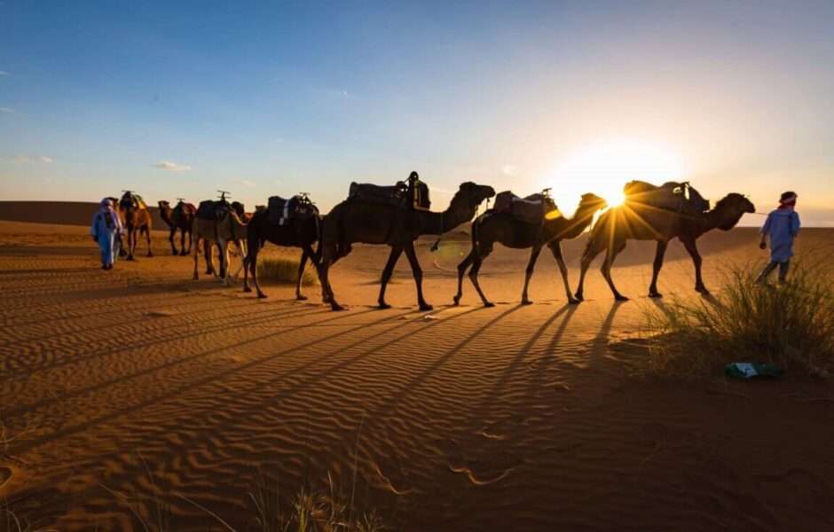 Maroc circuits, voyage au maroc