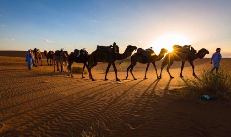 Maroc circuits, voyage au maroc